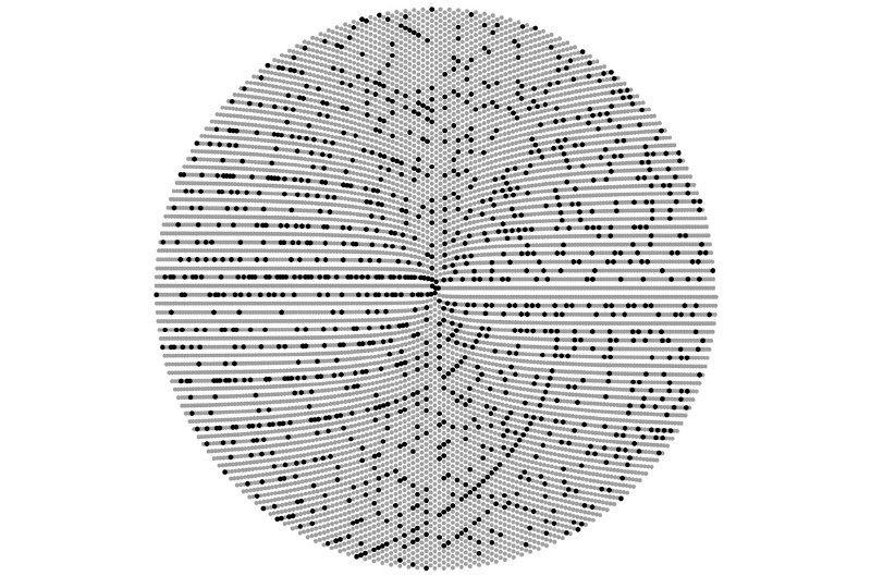 ‘Sensational breakthrough’ marks step toward revealing hidden structure of prime numbers