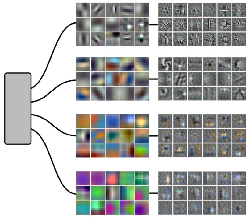 Branch Specialization