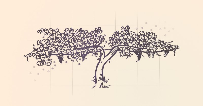 Wine & Math: A model pairing