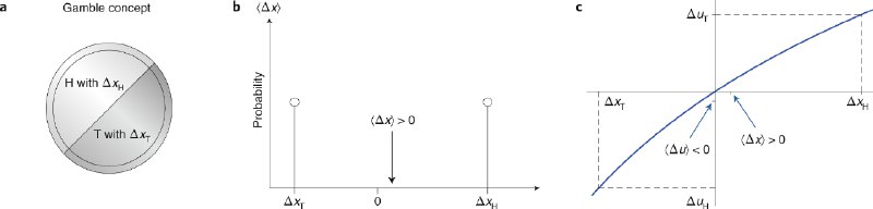 The ergodicity problem in economics