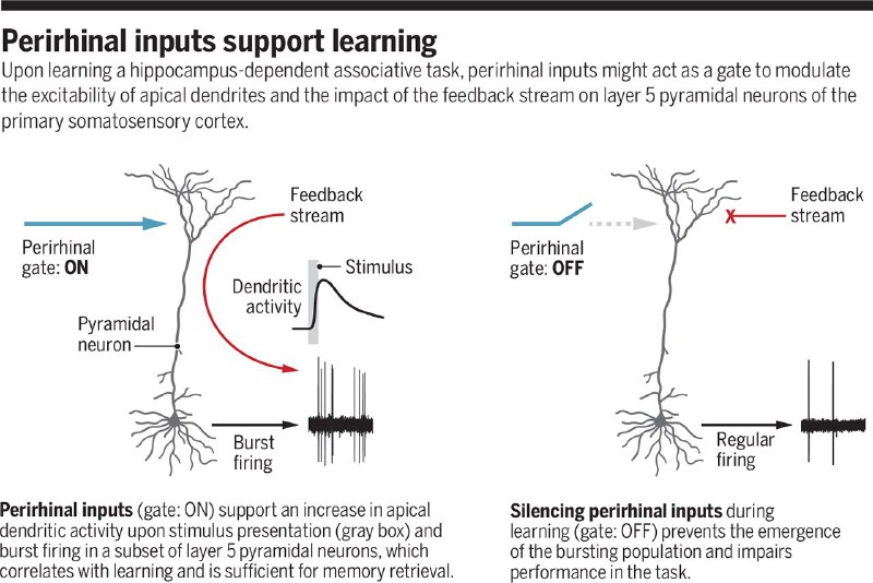 #neuroscienceSource: